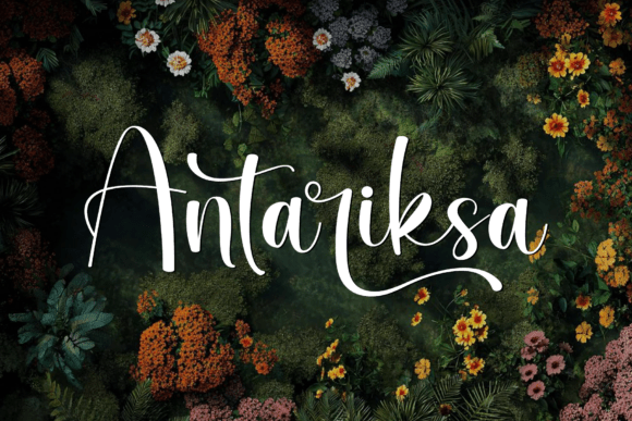 Antariksa: A Modern Script Font That Elevates Web Typography
