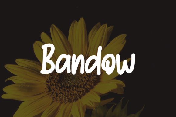 Bandow: Elevating Marketing Visuals with Modern Elegance