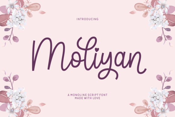 How Moliyan Font Transformed a Social Media Campaign with Style and Clarity